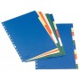 Esselte Separadores Plastico A4 10 Pestañas 5 Colores Cartulina Indice Blanco Negro - Material PP - Tamaño A4 - Multitaladro - 1