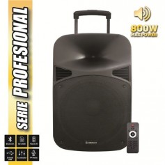 Coolsound Serie Pro Altavoz Autoamplificado 150W RMS 15" - Bluetooth, USB, SD, Entrada Jack 6.3mm, Radio FM - Asa y Ruedas de Tr