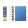 Bismark Pack de 12 Separadores - Tamaño A4 - Extragruesos - Fabricado en Propileno - Colores Surtidos