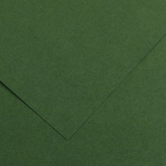 Canson Guarro Pack de 25 Cartulinas Iris A4 de 185g - 50x65cm - Color Verde Amazonas