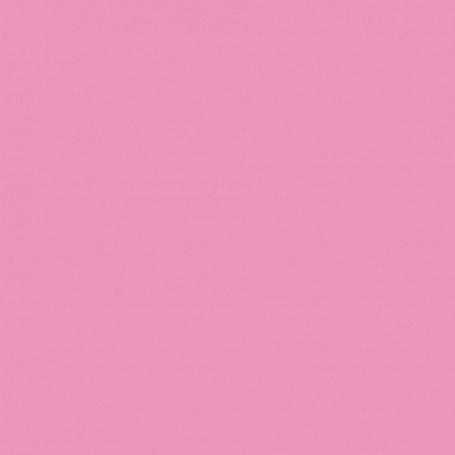 Canson Guarro Pack de 25 Cartulinas Iris A4 de 185g - 50x65cm - Color Rosa Chicle