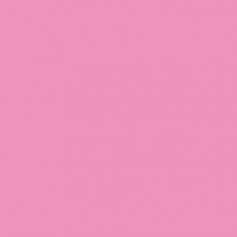 Canson Guarro Pack de 25 Cartulinas Iris A4 de 185g - 50x65cm - Color Rosa Chicle