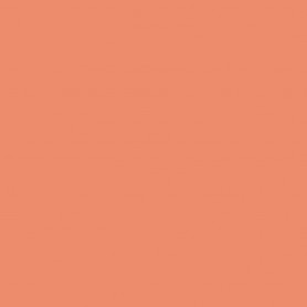 Canson Guarro Pack de 25 Cartulinas Iris A4 de 185g - 50x65cm - Color Coral