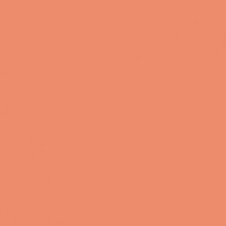 Canson Guarro Pack de 25 Cartulinas Iris A4 de 185g - 50x65cm - Color Coral