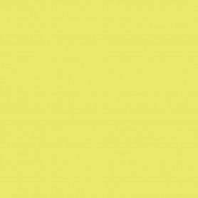 Canson Guarro Pack de 25 Cartulinas Iris A4 de 185g - 50x65cm - Color Kiwi