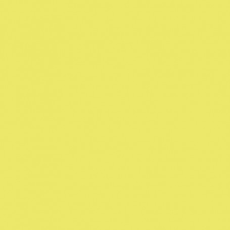 Canson Guarro Pack de 25 Cartulinas Iris A4 de 185g - 50x65cm - Color Kiwi