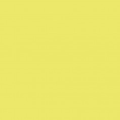 Canson Guarro Pack de 25 Cartulinas Iris A4 de 185g - 50x65cm - Color Kiwi