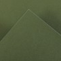 Canson Guarro Pack de 25 Cartulinas Iris A4 de 185g - 50x65cm - Color Verde Safari