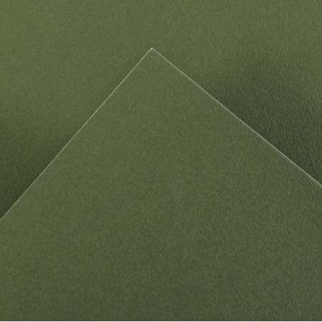 Canson Guarro Pack de 25 Cartulinas Iris A4 de 185g - 50x65cm - Color Verde Safari